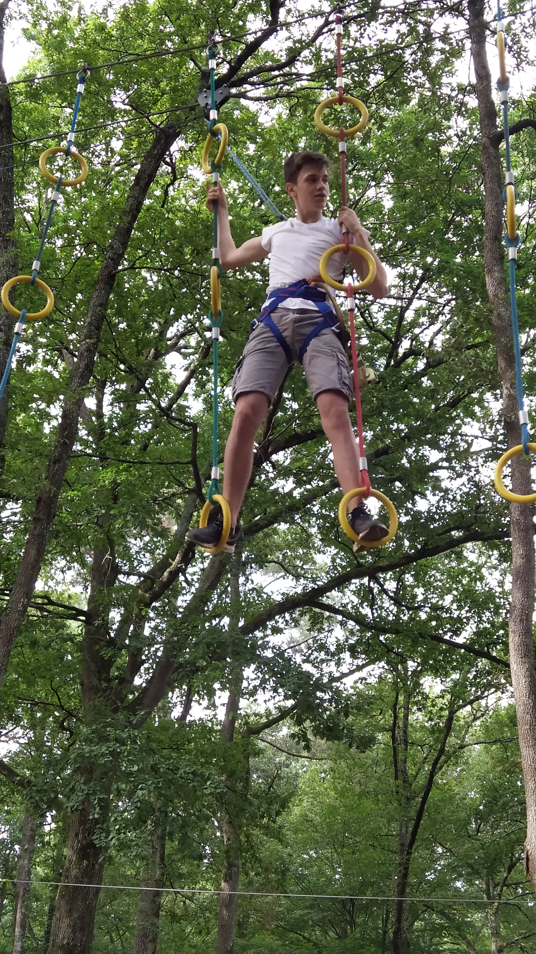 Sortie Cohésion des 1è res au parc Acrobranche Tepacap !                          