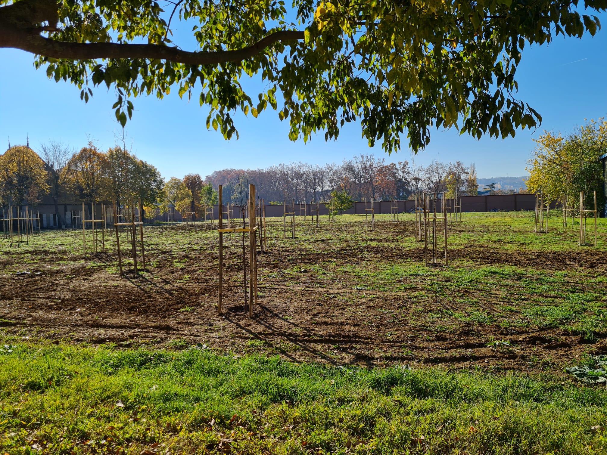 PROJET GREEN ZONE