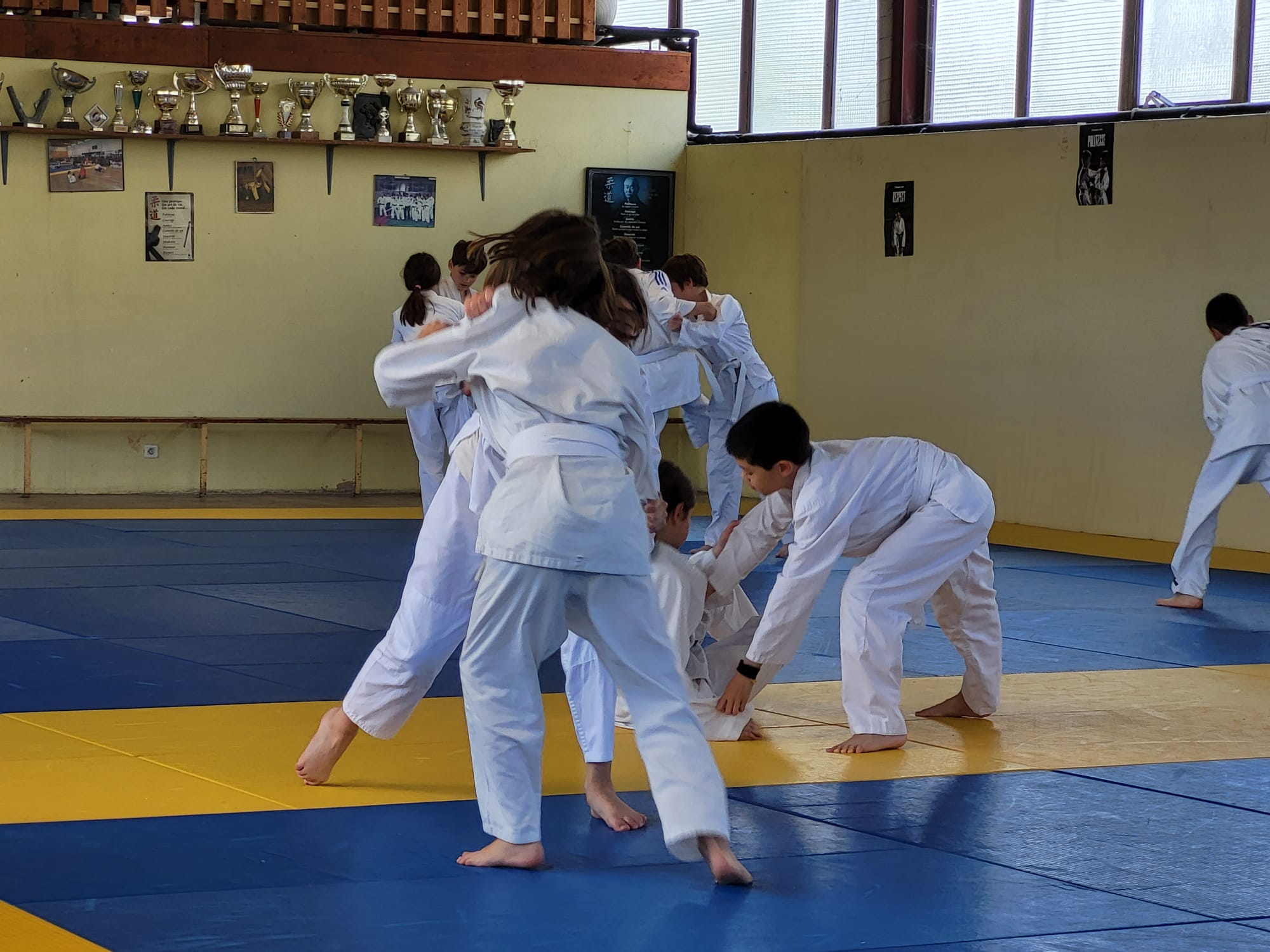 Cours de judo des 6H