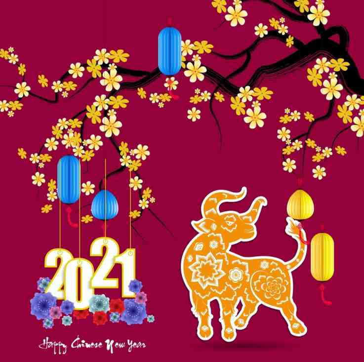  nouvel an chinois