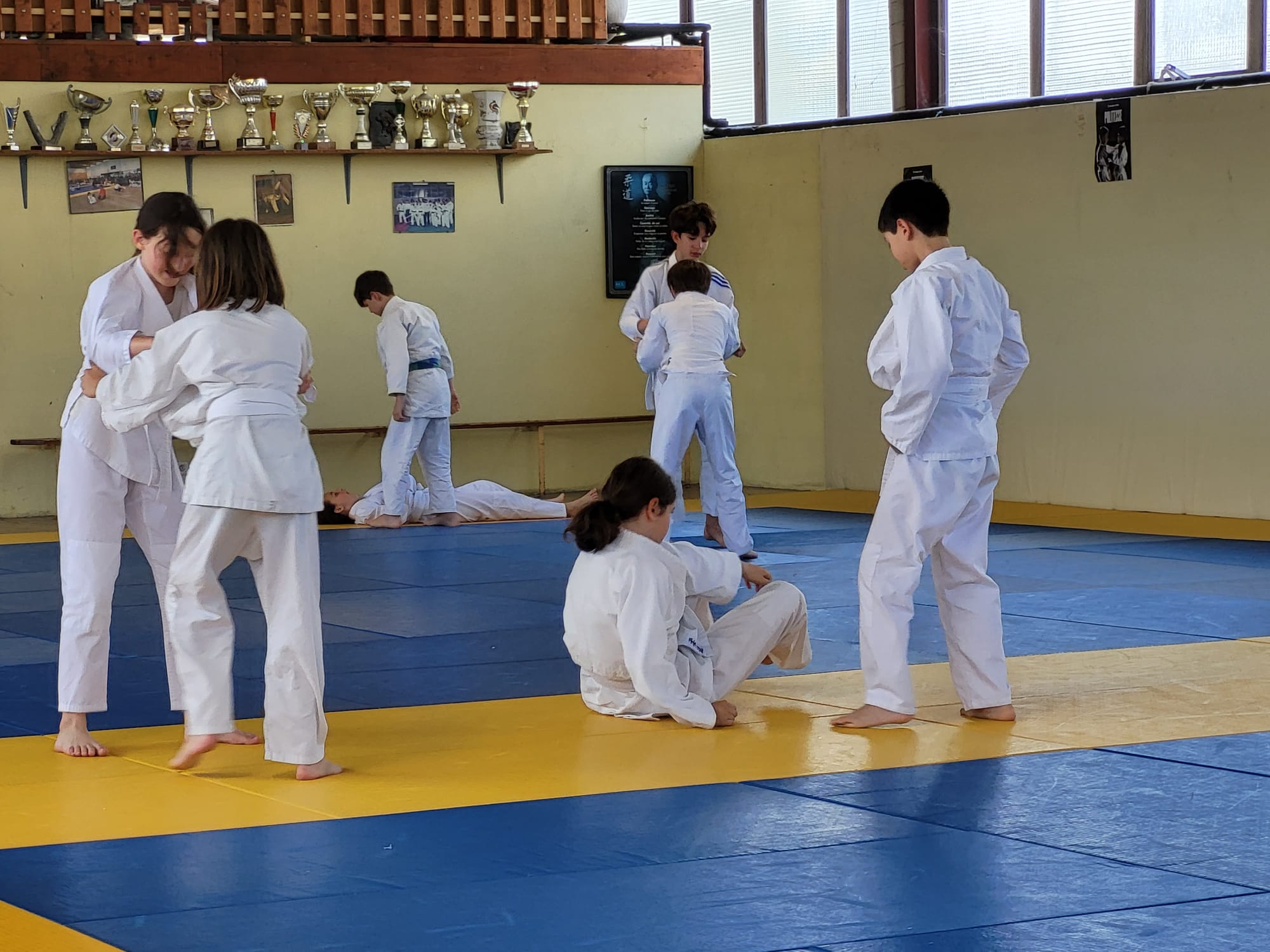 Visuel : Cours de judo des 6H