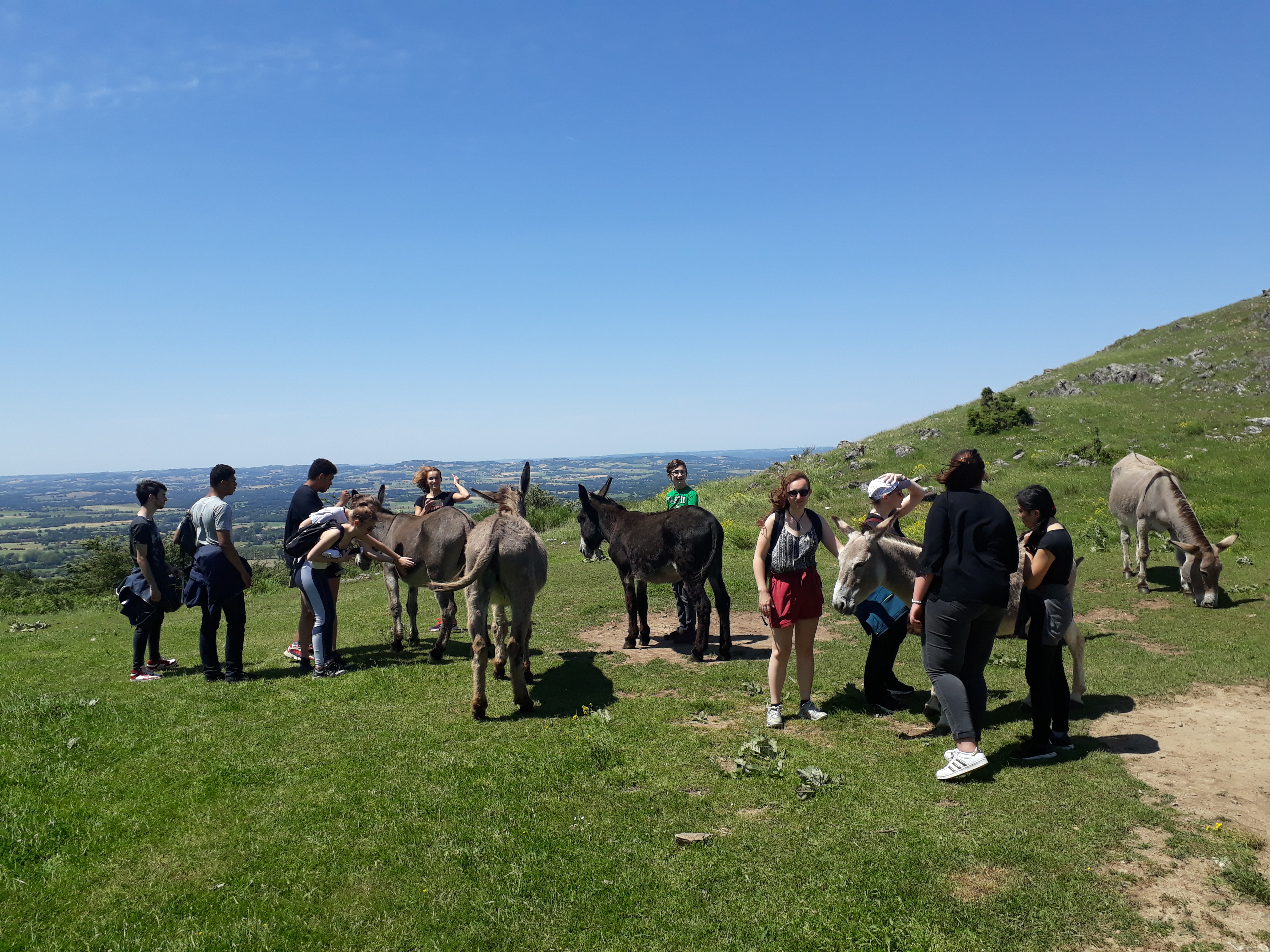 Visuel : Stage de r�visions du baccalaur�at � l�Abbaye d�En-Calcat (Tarn)